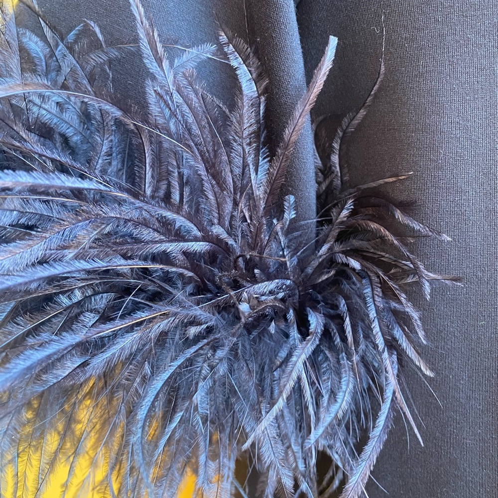 Tuckernuck Black - Retro 2-piece set with feather trim - Picture 6 of 6